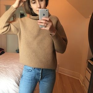 Aritzia Montpellier Sweater